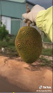 Tin anh bán mít dám bổ cả quả cho ăn thử chắc ngọt rồi mới mua, ai ngờ mang về cô gái vẫn phải khóc cạn nước mắt vì cái lỗi do ăn ở - Ảnh 4.