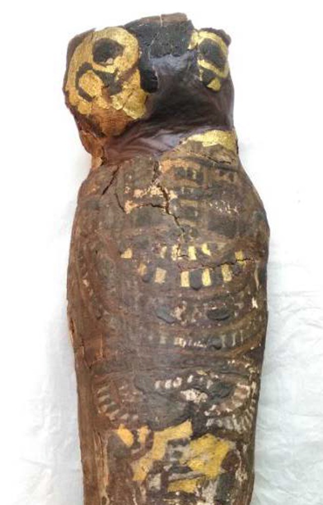 Bí mật rợn người xung quanh xác ướp chim cổ đại 2.100 tuổi - Ảnh 1.