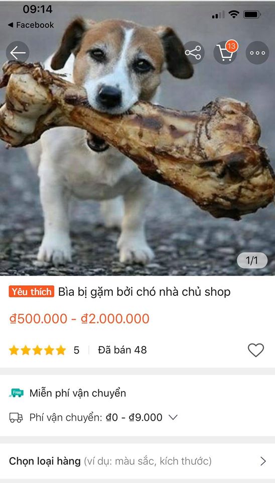 Muốn kinh doanh online nhưng không có gì để bán, chủ shop nghĩ ra ý tưởng có 1-0-2: Bán giấy bìa chó gặm, sản phẩm có chữ ký của chính chủ - Ảnh 3.