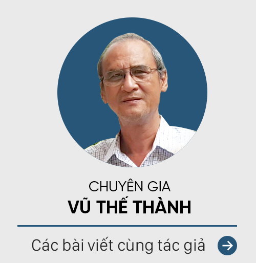 Chuyên gia Vũ Thế Thành: Bốc mỡ heo lên tới hàng top ten thực phẩm bổ dưỡng thì, xin lỗi, tôi không dám! - Ảnh 3.