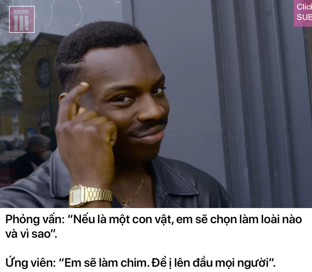 Những câu trả lời phỏng vấn mang tính giải trí cực cao khiến cư dân mạng cười mệt nghỉ - Ảnh 5.