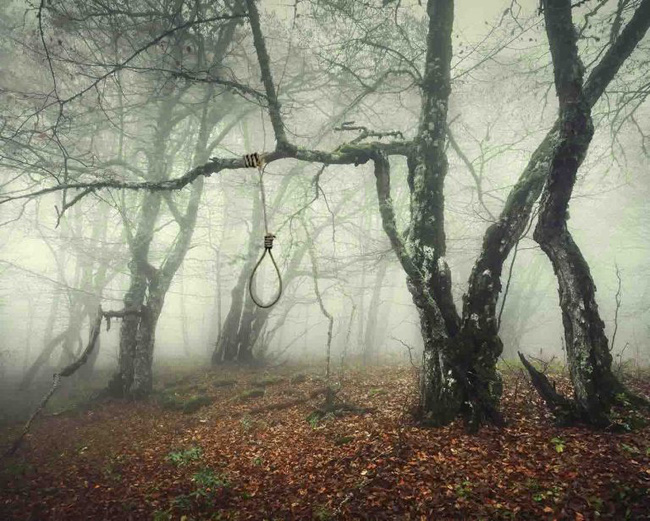 Khu rừng tự sát Aokigahara: Nơi tăm tối và im lặng tuyệt đối với những câu chuyện rùng rợn đầy ám ảnh - Ảnh 3.