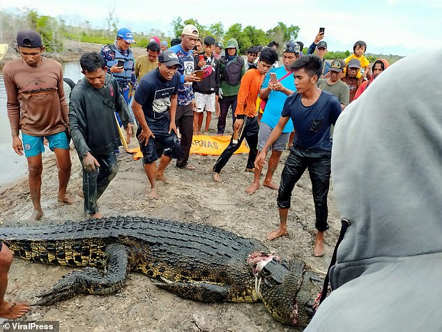 Mổ bụng cá sấu khổng lồ dài gần 6m, dân làng phát hoảng khi nhìn thấy cảnh tượng bên trong - Ảnh 2.