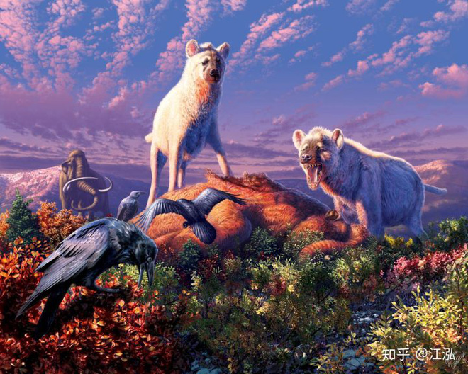 Khám phá bí ẩn của loài linh cẩu thời tiền sử, chúng đã từng sinh sống cả ở Bắc Cực - Ảnh 1.