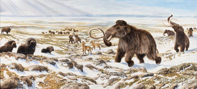 Khám phá bí ẩn của loài linh cẩu thời tiền sử, chúng đã từng sinh sống cả ở Bắc Cực - Ảnh 2.