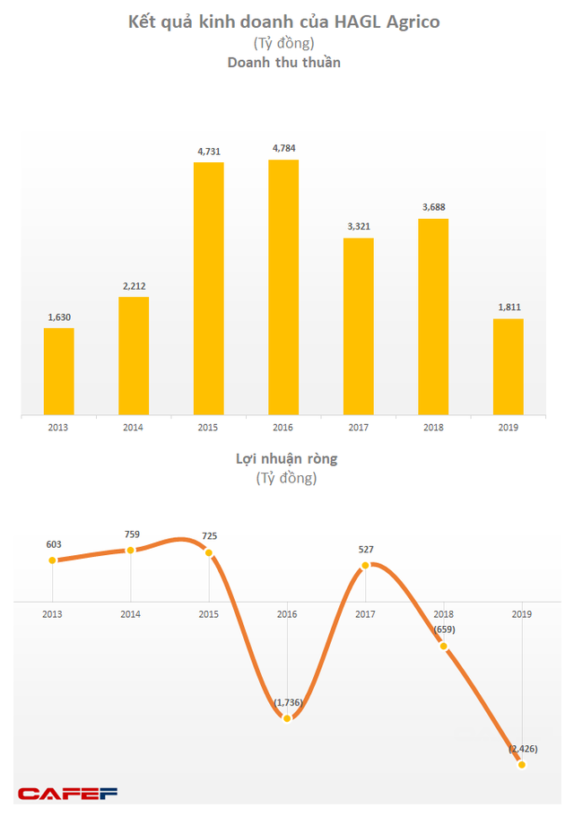 HAGL Agrico (HNG): 68 nhà đầu tư cá nhân mua vào 200 tỷ trái phiếu, lãi suất 9,5%/năm đảm bảo bằng vườn cây ăn quả - Ảnh 2.