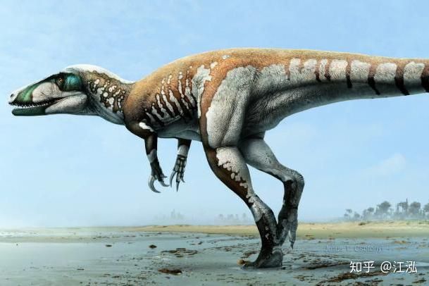 Úc phát hiện ra hóa thạch khủng long biến thành đá quý - Ảnh 15.