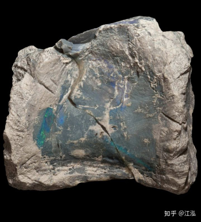 Úc phát hiện ra hóa thạch khủng long biến thành đá quý - Ảnh 17.