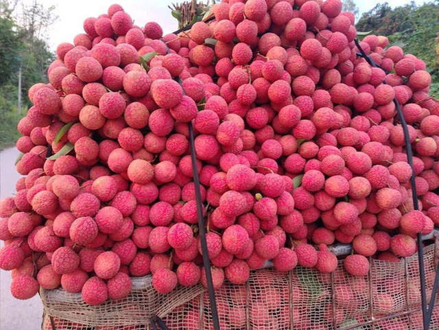 Dân mạng Việt khoe những trái vải bán trong siêu thị Nhật, 120k được mỗi 7 quả mà vẫn cháy hàng - Ảnh 1.