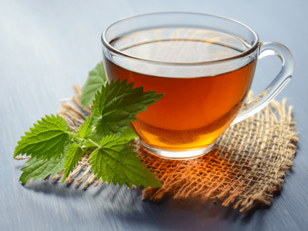 9 loại trà giúp điều trị tiêu chảy hiệu quả - Ảnh 6.