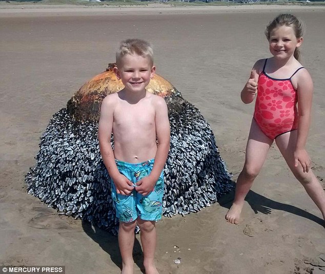 Cho con nô đùa chụp ảnh với vật thể lạ trên bãi biển, vài ngày sau cặp vợ chồng thót tim phát hiện sự thật, 2 đứa trẻ thoát chết thần kỳ - Ảnh 1.