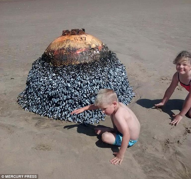 Cho con nô đùa chụp ảnh với vật thể lạ trên bãi biển, vài ngày sau cặp vợ chồng thót tim phát hiện sự thật, 2 đứa trẻ thoát chết thần kỳ - Ảnh 2.