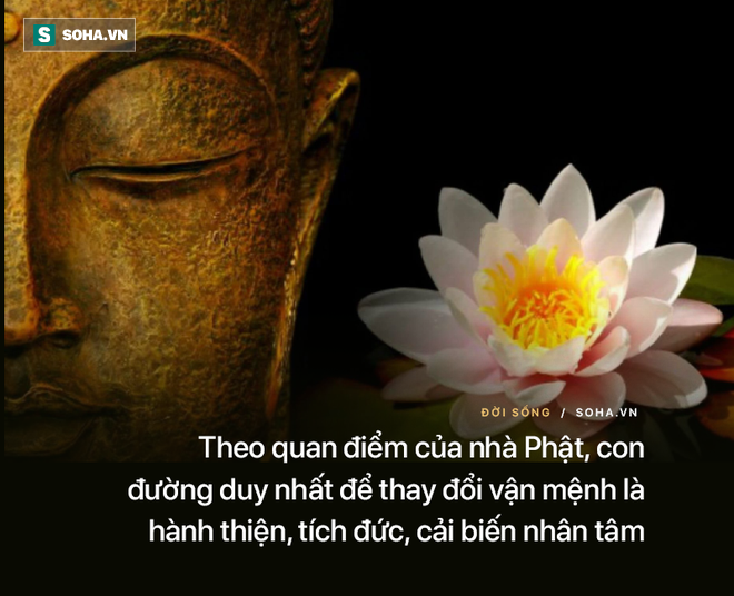 Sở hữu 1 đặc điểm này, con người càng sống càng có phúc: Bạn có biết đó là gì? - Ảnh 4.