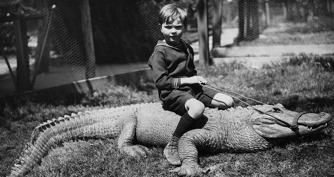 Cảnh tượng đàn cá sấu chực chờ tấn công đứa trẻ nhìn thôi cũng rùng mình và sự thật không tưởng phía sau - Ảnh 3.