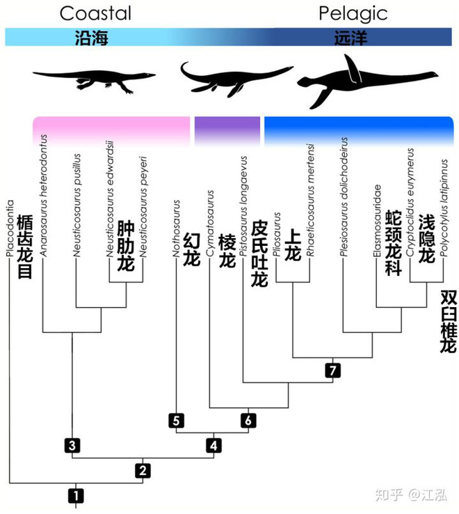 Các nghiên cứu phát hiện ra rằng những con thằn lằn cổ rắn thời tiền sử có khả năng lặn tương tự với cá nhà táng hiện đại - Ảnh 6.
