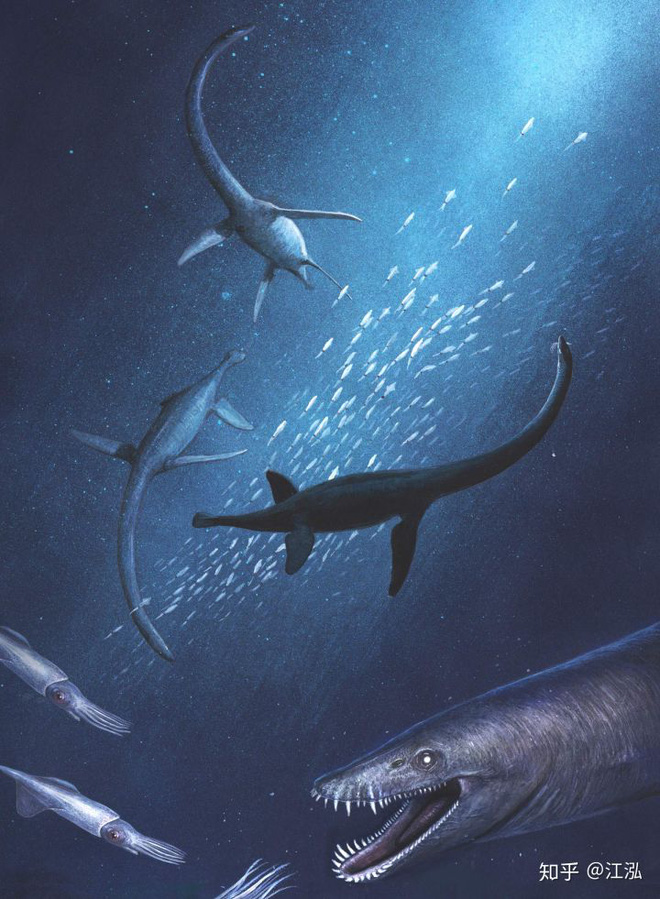 Các nghiên cứu phát hiện ra rằng những con thằn lằn cổ rắn thời tiền sử có khả năng lặn tương tự với cá nhà táng hiện đại - Ảnh 10.