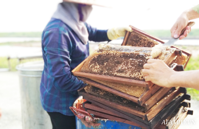 Tạm xa Hồ Tây một hôm, về Ninh Bình thăm bác nông dân thu nhập khủng nhờ nuôi ong lấy mật từ loài hoa ít ai ngờ tới - Ảnh 5.
