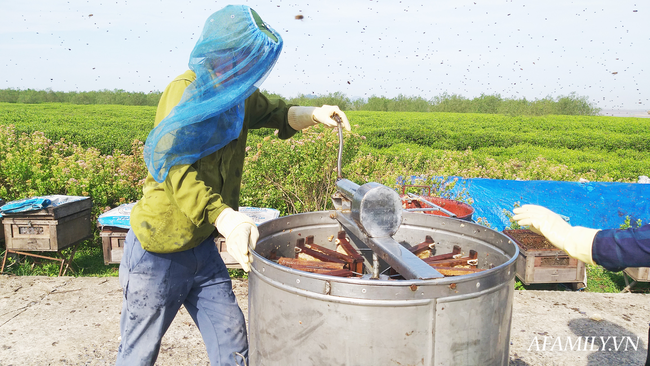 Tạm xa Hồ Tây một hôm, về Ninh Bình thăm bác nông dân thu nhập khủng nhờ nuôi ong lấy mật từ loài hoa ít ai ngờ tới - Ảnh 8.