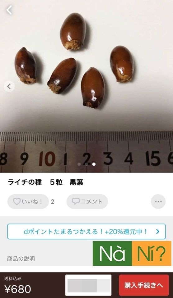 Hết ngạc nhiên vì siêu thị tại Nhật Bản bán 120.000 đồng được 7 quả vải, dân tình lại nhốn nháo khi biết shop online Nhật rao bán cả hạt vải với giá cao - Ảnh 2.