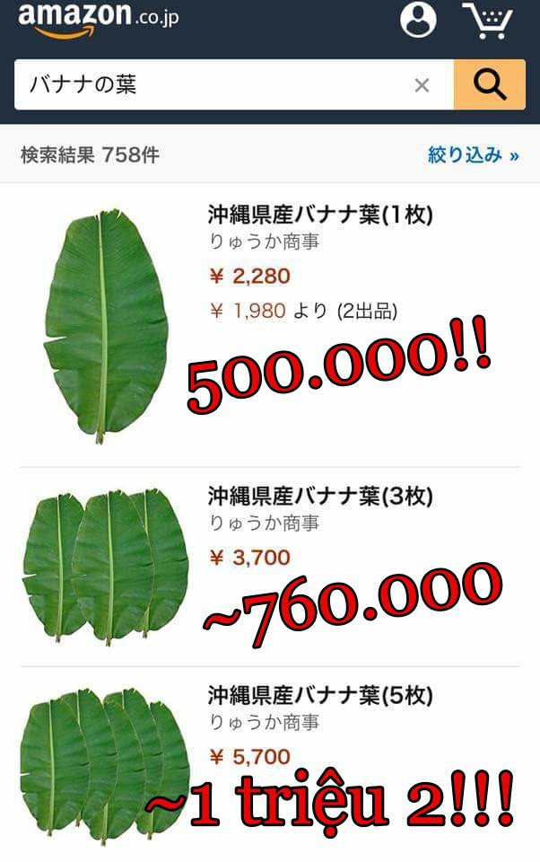 Hết ngạc nhiên vì siêu thị tại Nhật Bản bán 120.000 đồng được 7 quả vải, dân tình lại nhốn nháo khi biết shop online Nhật rao bán cả hạt vải với giá cao - Ảnh 9.