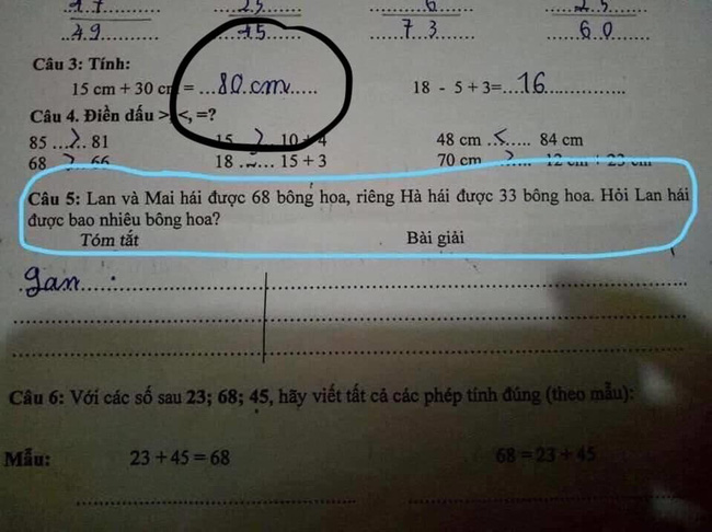 Đề toán gây ngơ ngác vì kẻ thứ 3 bỗng dưng xuất hiện, MXH rần rần gọi tên Hà Lan (Mắt biếc) và nghĩ các kịch bản bẻ lái cực gắt - Ảnh 2.