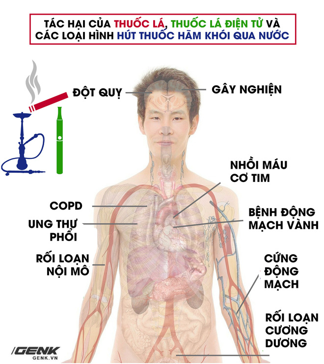 Bất kể hình thức: Hút thuốc lá điếu, thuốc lá điện tử hay shisha đều phá hủy mạch máu và gây ung thư phổi - Ảnh 2.