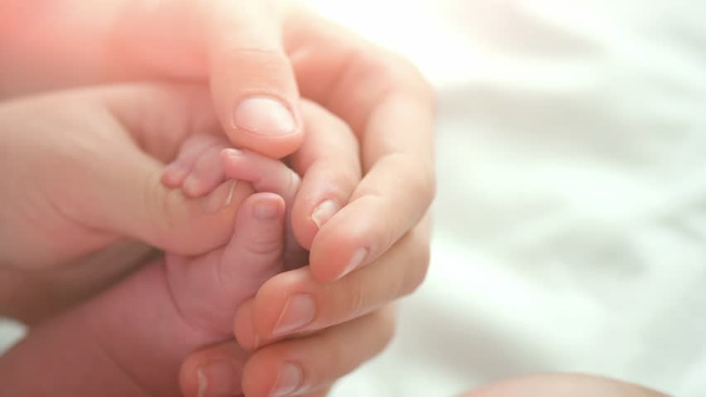Những bàn tay bé sơ sinh luôn gợi cho chúng ta một cảm giác ấm áp, tình yêu và sự cuồng nhiệt. Hãy chiêm ngưỡng hình ảnh này để nhìn thấy những đường nét mềm mại của bàn tay bé.