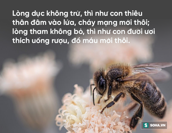 5 nhà sư đi đến tu viện, cuối cùng chỉ 1 người tới nơi, vậy chuyện gì xảy ra giữa đường? - Ảnh 4.