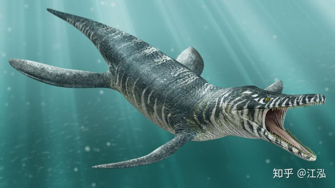 Hóa thạch của quái vật biển kỷ Jura được tìm thấy trên núi của Thụy Sĩ - Ảnh 10.