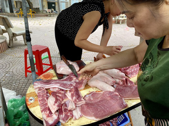 9.000 con lợn sống Thái Lan về Việt Nam bán ở đâu? - Ảnh 8.