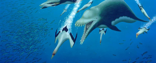 Ai bảo cá heo hiền lành dễ thương? Từng có một chủng cá heo đã gieo rắc kinh hoàng cho đại dương, đến cá mập trắng cũng phải khiếp sợ - Ảnh 2.