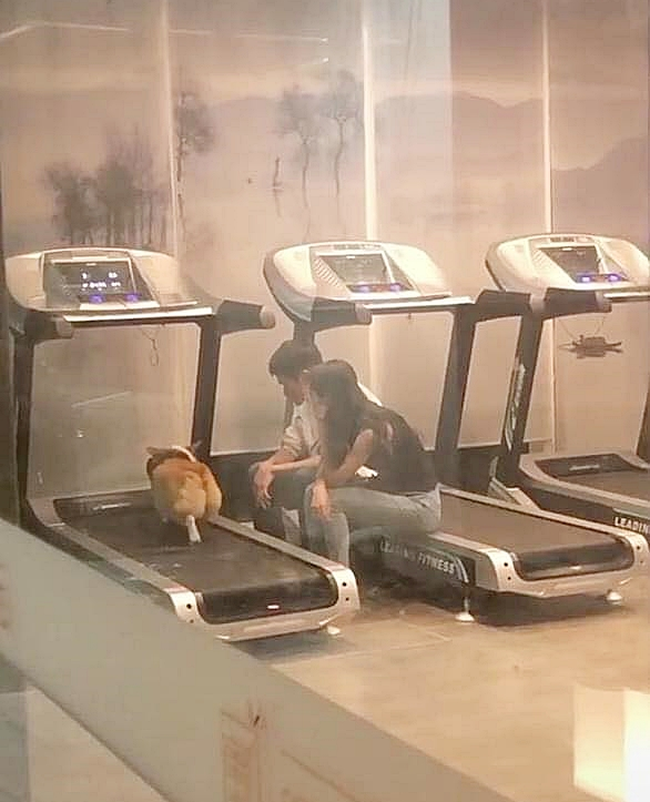 Boss quá béo nên phải mang đến phòng gym tập chạy bộ, nhìn 2 con sen lầm lũi ngồi cạnh động viên khiến ai cũng cười lăn lóc - Ảnh 1.
