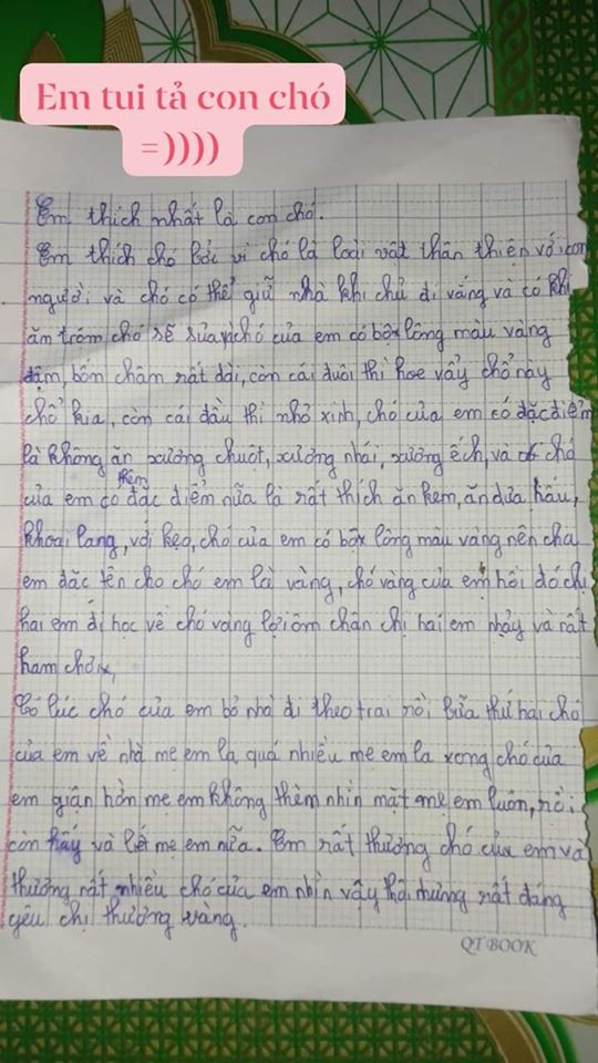 Bài văn tả con chó của cô bé tiểu học khiến tất cả bật cười vì có lúc bỏ nhà theo trai rồi - Ảnh 2.