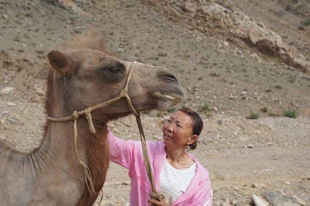 Bị đem bán cho người khác, lạc đà quá nhớ nhà đã đi bộ 100km băng qua sa mạc để trở về với chủ cũ - Ảnh 1.