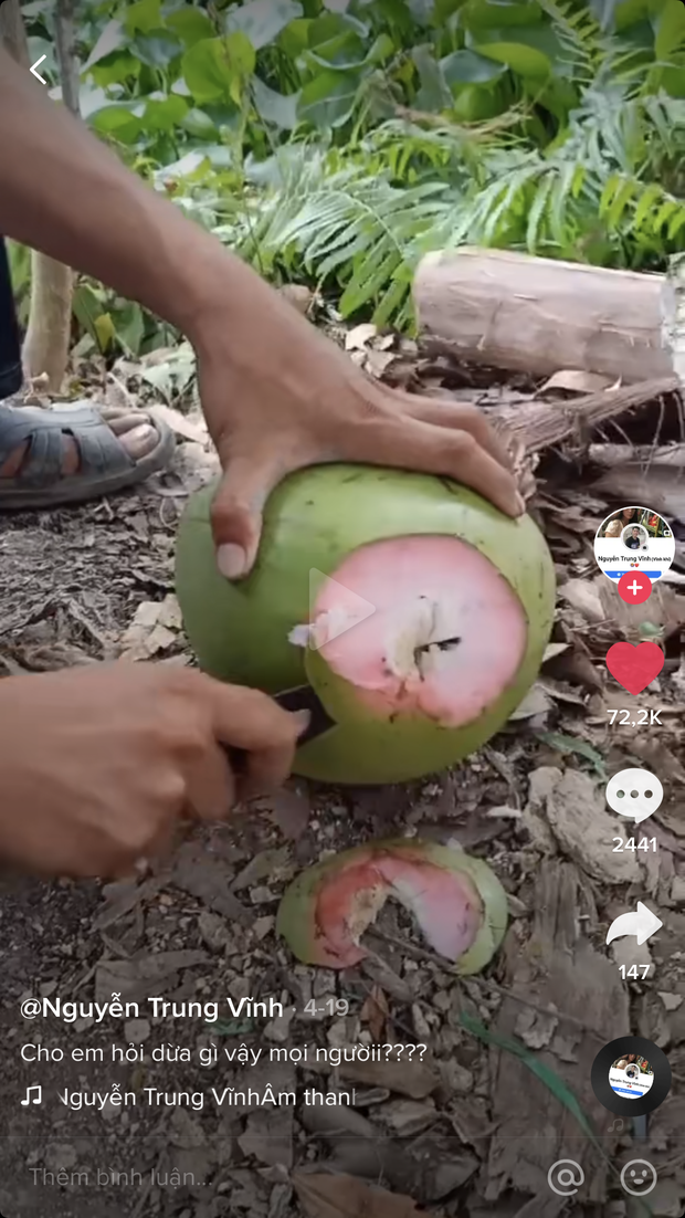 Trái dừa màu hồng kỳ lạ đang khiến dân mạng bàn tán xôn xao trên TikTok: Là thật hay lại chiêu trò “câu view”? - Ảnh 1.