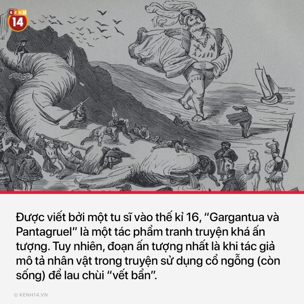 Góc suy ngẫm: Trước khi giấy vệ sinh ra đời, nhân loại đã phải dùng gì sau khi giải quyết? - Ảnh 4.