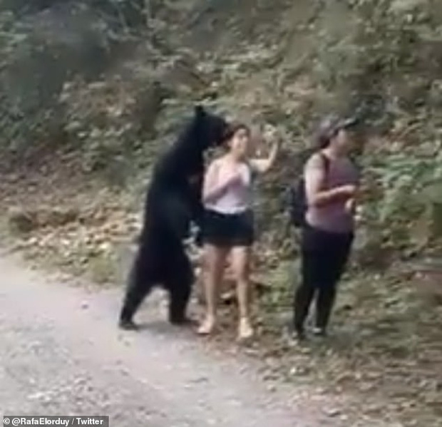 Bất ngờ bị gấu vồ nhưng vẫn bình tĩnh rút điện thoại ra selfie, cô gái được khen nức nở vì thần kinh thép - Ảnh 2.