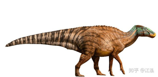 Phát hiện ra xác ướp khủng long có dấu chân hình móng ngựa tại Hoa Kỳ - Ảnh 4.
