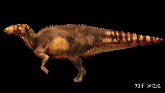 Phát hiện ra xác ướp khủng long có dấu chân hình móng ngựa tại Hoa Kỳ - Ảnh 6.