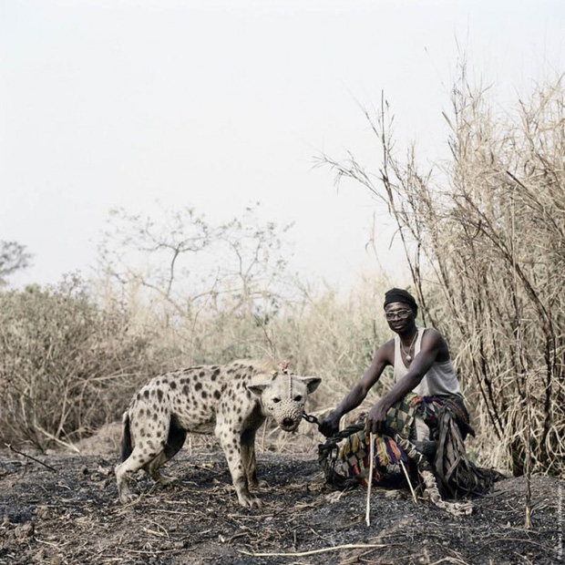 Bức ảnh bị hiểu nhầm hé lộ sự thật về những người huấn luyện linh cẩu để kiếm sống tại Nigeria - Ảnh 3.