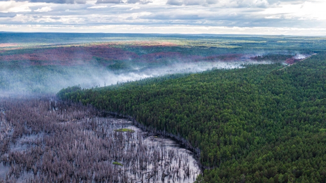 Lửa thiêu trụi hàng triệu hecta rừng Siberia - Ảnh 1.