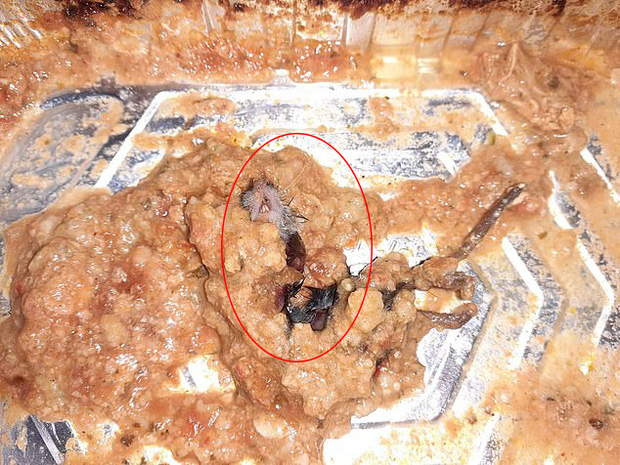 Ăn gần hết khay thịt gà nướng mới phát hiện nguyên con chuột chết bên trong, người phụ nữ kinh hãi đến mức nôn suốt 12 tiếng - Ảnh 2.
