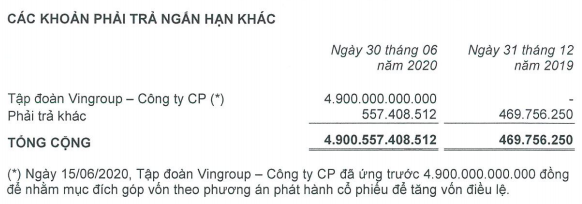  Công ty con của Vingroup sắp triển khai loạt dự án quy mô 79.000 tỷ đồng tại Giảng Võ, Đông Anh và Nam Từ Liêm  - Ảnh 2.