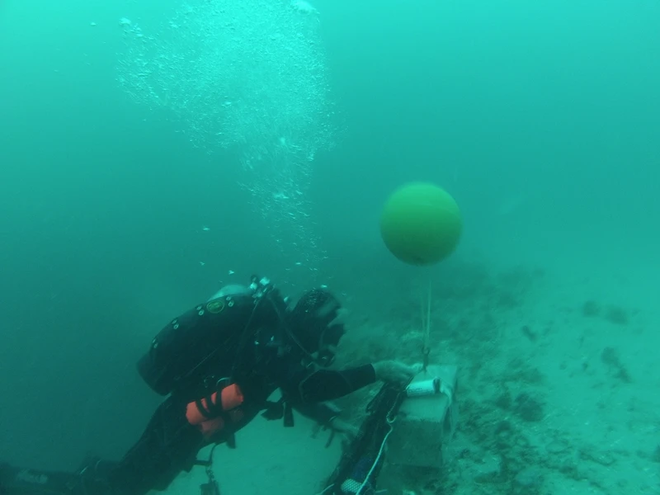 Các nhà khoa học tiến hành nghiên cứu những hố xanh nằm dưới đáy đại dương, phát hiện ra được nhiều điều thú vị - Ảnh 2.