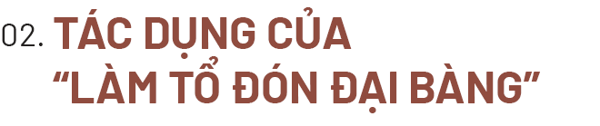 GS Hà Tôn Vinh: Chuyện Việt Nam hùng cường vẫn còn xa lắm, chưa thể thay Trung Quốc làm công xưởng thế giới - Ảnh 4.