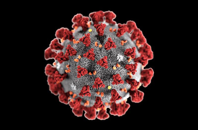 Tiến sĩ tại BV Nhi số 1 tại Mỹ phát hiện: Virus SARS-CoV-2 thay đổi hình dạng để qua mặt hệ miễn dịch! - Ảnh 1. Tiến sĩ tại BV Nhi số 1 tại Mỹ phát hiện: Virus SARS-CoV-2 thay đổi hình dạng để qua mặt hệ miễn dịch! - Ảnh 1.