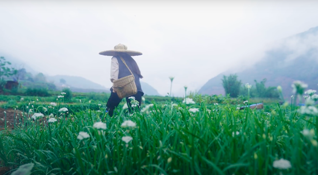 Ngay tại Trung Quốc đã có loạt vlogger phong cách na ná Lý Tử Thất, có người còn gần như “copy” nguyên si - Ảnh 3.