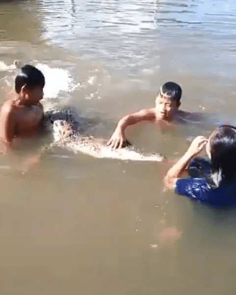 Nhóm trẻ em bơi lội, chơi đùa cùng cá sấu dưới nước trong lúc ông bố vẫn thản nhiên quay phim khiến nhiều người rùng mình - Ảnh 2.