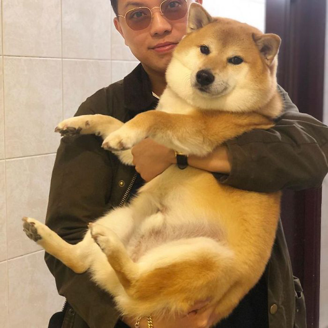 Chắc chắn bạn đã từng nghe đến chú chó shiba vô cùng đáng yêu này? Hãy xem những ảnh chó shiba meme để khám phá thêm về tình cảm và độ khéo léo của chúng. Cười với những biểu cảm mặt tinh nghịch của chúng và cùng nhau thưởng thức những khoảnh khắc đáng yêu.