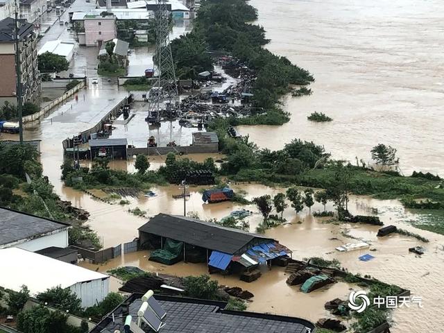 Mưa bão lớn, khu du lịch thắng cảnh bị nước lũ tràn đáng sợ, chú khỉ phải bám thành cầu - Ảnh 5.